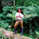 Maple Glider - I Get Into Trouble (Vinyl LP)