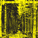 Good Night [LP]