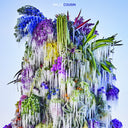 Wilco - Cousin [CD]