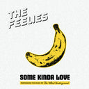 Feelies - Some Kinda Love: Performing Music Of The Velvet [LP]
