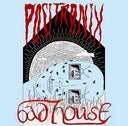 Positronix - Bad House (Vinyl LP)