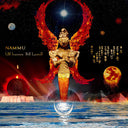 Ulf Ivarsson - Nammu (Vinyl LP)