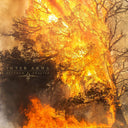 Inter Arma - Sulphur English [Colored Vinyl] (Gol)