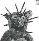 Sator Arepo [LP]
