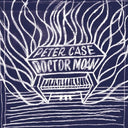 Peter Case - Doctor Moan (Vinyl LP)