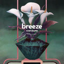 Breeze - Sour Grapes (Vinyl LP)