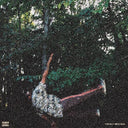 Chester Watson - Fish Don't Climb Trees (Indie Exclusive Vinyl)