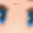 Hidden Beauty (Vinyl LP)