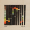 In the Pines - Painting By Numbers - Orange (Vinyl LP)