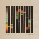 Painting By Numbers [Transparent Orange LP]