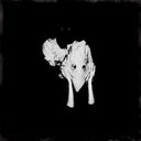 Sigur Ros - Kveikur (Vinyl LP)