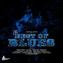 Various Artists - Best of Blues (Various Artists) (Vinyl LP)