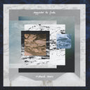 Appear To Fade [LP]