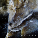 Rofnar [LP]