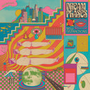 New Distractions [Colored Vinyl] [Limited Edition] (Pnk)