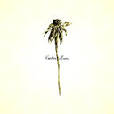 Patrick Watson - Wooden Arms (Vinyl LP)