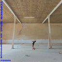 Torres - What an Enormous Room (Indie Exclusive Vinyl)