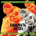 Various Artists - Brown Acid - The Seventeenth Trip (Various Artists) (Vinyl LP)