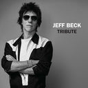 Tribute [RSD Black Friday 2023]