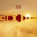 Kate Bush - Aerial - 2018 Remaster 180gm Black Vinyl (Vinyl LP)