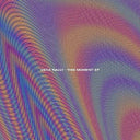 Vega Rally - This Moment (Indie Exclusive Vinyl)