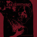 Ex Everything - Slow Change Will Pull Us Apart (Vinyl LP)
