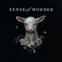 Sense of Wonder - Sense of Wonder (Vinyl LP)