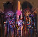 Tonn3RR3 & Bikaye - It's a Bomb (Vinyl LP)