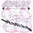 Brorlab - Working Out In Heaven (Vinyl LP)