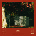How To Disappear [Import LP]
