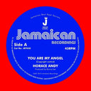 Horace Andy - You Are My Angel/Version (Vinyl LP)