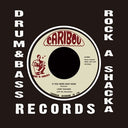 Lord Tanamo - If You Were Only Mine (Vinyl LP)