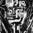 Dissimulator - Lower Form Resistance (Vinyl LP)