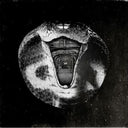 The Mommyheads - Genius Killer (Vinyl LP)