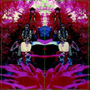 Blue Mountain Eagle (Bonus Tracks) [CD]