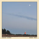 Dougie Poole - Wideass Highway [LP]