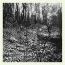 Topographies - Interior Spring (Vinyl LP)