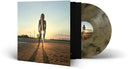 Brother Dege - Aurora - Black / Gold Marble (Blk) [Colored Vinyl] (Gol)