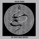 Wailin Storms - The Silver Snake Unfolds (Vinyl LP)