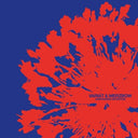 Variat & Merzbow - Unintended Intention (Vinyl LP)