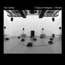 Arto Lindsay - 7 Types Of Ambiguity - A Parade (Vinyl LP)
