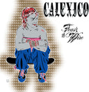Feast Of Wire (Bonus Track Version) [LP]