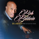 Bob Baldwin - Mellowonder- Songs In The Key Of Stevie [LP]