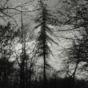 Feral Earth [LP]