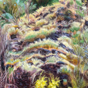 Swim Surreal - In The Half Light [CD]