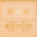 Dr. Dog - Dr. Dog [LP]
