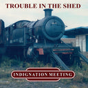 Trouble In The Shed [LP]