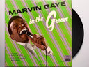 In The Groove [LP]