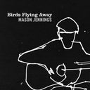 Mason Jennings - Birds Flying Away [LP]