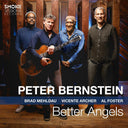 Peter Bernstein - Better Angels [LP]